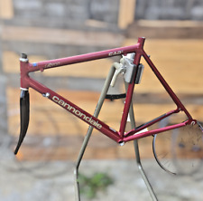 Cannondale r600 frameset for sale  Asheville