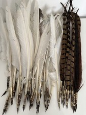 Lot quill feather for sale  HAYWARDS HEATH