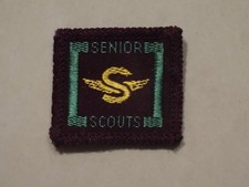 Senior scouts proficiency for sale  NORTHAMPTON