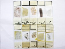 microscope slides for sale  LEDBURY