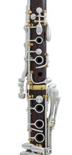 Backun protege clarinet for sale  GOOLE