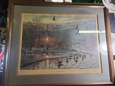 goose hunting blinds for sale  Winlock