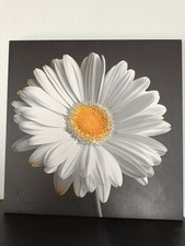 Leinwandbild wandbild keilrahm gebraucht kaufen  Backnang