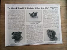 Antique griffon bruxellois for sale  LONDON