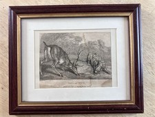 Deer big cat for sale  CAMBRIDGE
