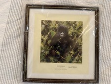 David shepherd baby for sale  LEEDS