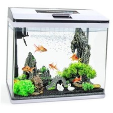 Glass aquarium fish for sale  Miami