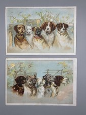 c 1890 DOG Arado SATTLEY Perfeito PUBLICIDADE AGRÍCOLA Cartão Comercial Vitoriano SPRINGFIELD IL comprar usado  Enviando para Brazil