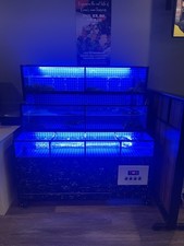 Fish tank for sale  Annandale
