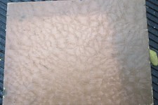 vintage tuco for sale vintage tuco for sale Buffalo