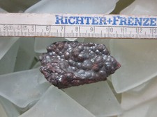 Roter glaskopf knollengrube gebraucht kaufen  Eschwege
