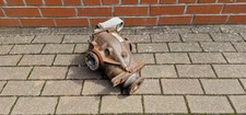 7519925 differential hinterach gebraucht kaufen  Marlow