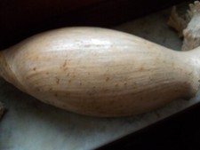Grande conchiglia melo usato  Rancio Valcuvia