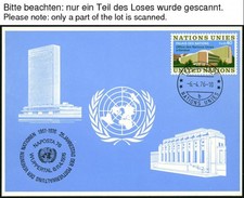 UNO-GENF-BLAUE KARTEN 1976-88, ca. 96 verschiedene Blaue Karten, 1979-85 comprar usado  Enviando para Brazil