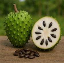 Fresh organic soursop d'occasion  Expédié en Belgium