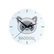 Ragdoll montre chat d'occasion  Expédié en France