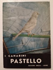 Canarini pastello n19 usato  Rovigo
