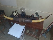 Authentic mounted long for sale  Kemp