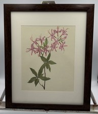 Vintage floral print for sale  Springdale