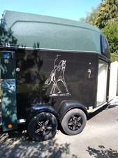 Bockmann comfort horse for sale  LLANGOLLEN