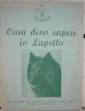 Cosa devo sapere usato  Torino