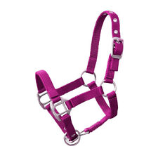 Halfter mini shetty gebraucht kaufen  Langenneufnach