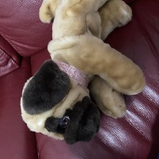 Signature cuddle puppies for sale  HARLOW