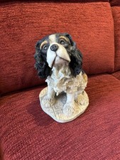 1995 adorable holly for sale  GLASGOW