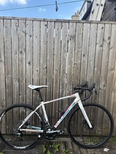 Giant liv avail for sale  LARBERT