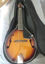 Vangoa style mandolin for sale  Matthews