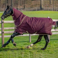 Horseware amigo hero d'occasion  Expédié en France