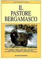 Pastore bergamasco cavalchini usato  Novara