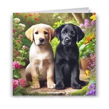 Labrador puppies birthday for sale  SPILSBY