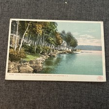 Along shore pine for sale  Waltham