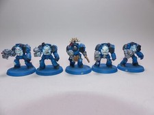 5er ultramarines terminator gebraucht kaufen  Burgdorf