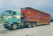Color 8x10 semi for sale  Wittmann