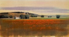 Paesaggio agostino cancogni usato  Taranto