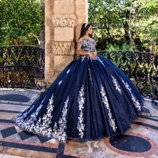 Usado, Vestido de baile personalizado azul marinho Quinceanera prata renda aplique espartilho com miçangas comprar usado  Enviando para Brazil