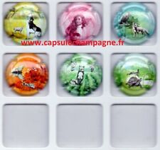 Capsules champagne série d'occasion  Beaurieux