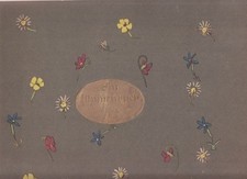 Blumenbuch kager erica gebraucht kaufen  Goslar