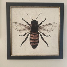 Bee frame art for sale  Louisville