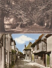 Sussex midhurst chestnut for sale  CHELMSFORD