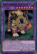 Amazoness pet liger for sale  PONTEFRACT