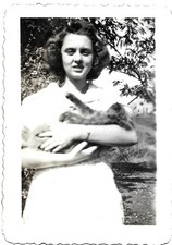 old 1 female cat for sale  Clovis