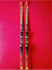 Ski dynastar mondial gebraucht kaufen  Berlin