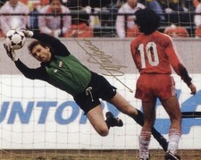 Stefano tacconi autografata usato  Montesilvano