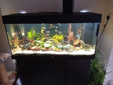 Jewel tank decor for sale  AYLESFORD