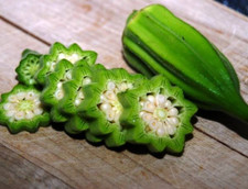 Star david okra for sale  Salem