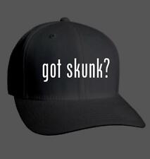 Got skunk adult for sale  USA