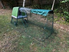 Omelet eglu chicken for sale  FARINGDON
